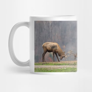 Elk in a fight Mug